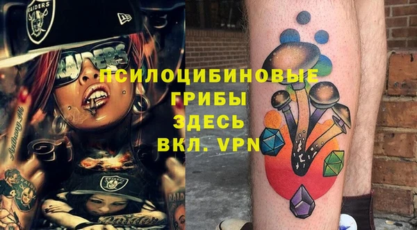 винт Армянск