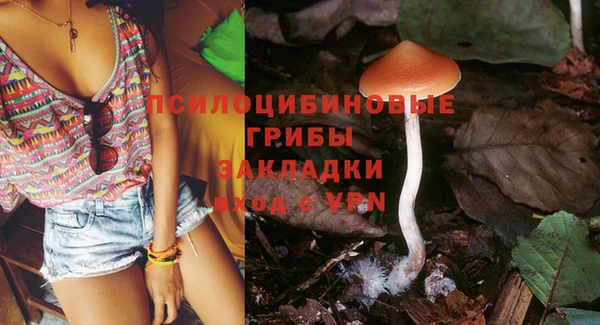 mdma Пролетарск